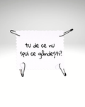 tu de ce nu spui ce gândești?