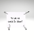 tu de ce crezi în zbor? - Urban Prints Studio