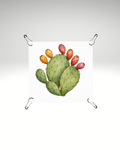 Print detașabil Cactus di Sicilia