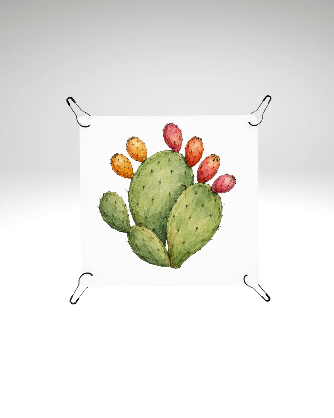 Print detașabil Cactus di Sicilia