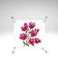 Print detașabil Mediterranean Bougainvillea