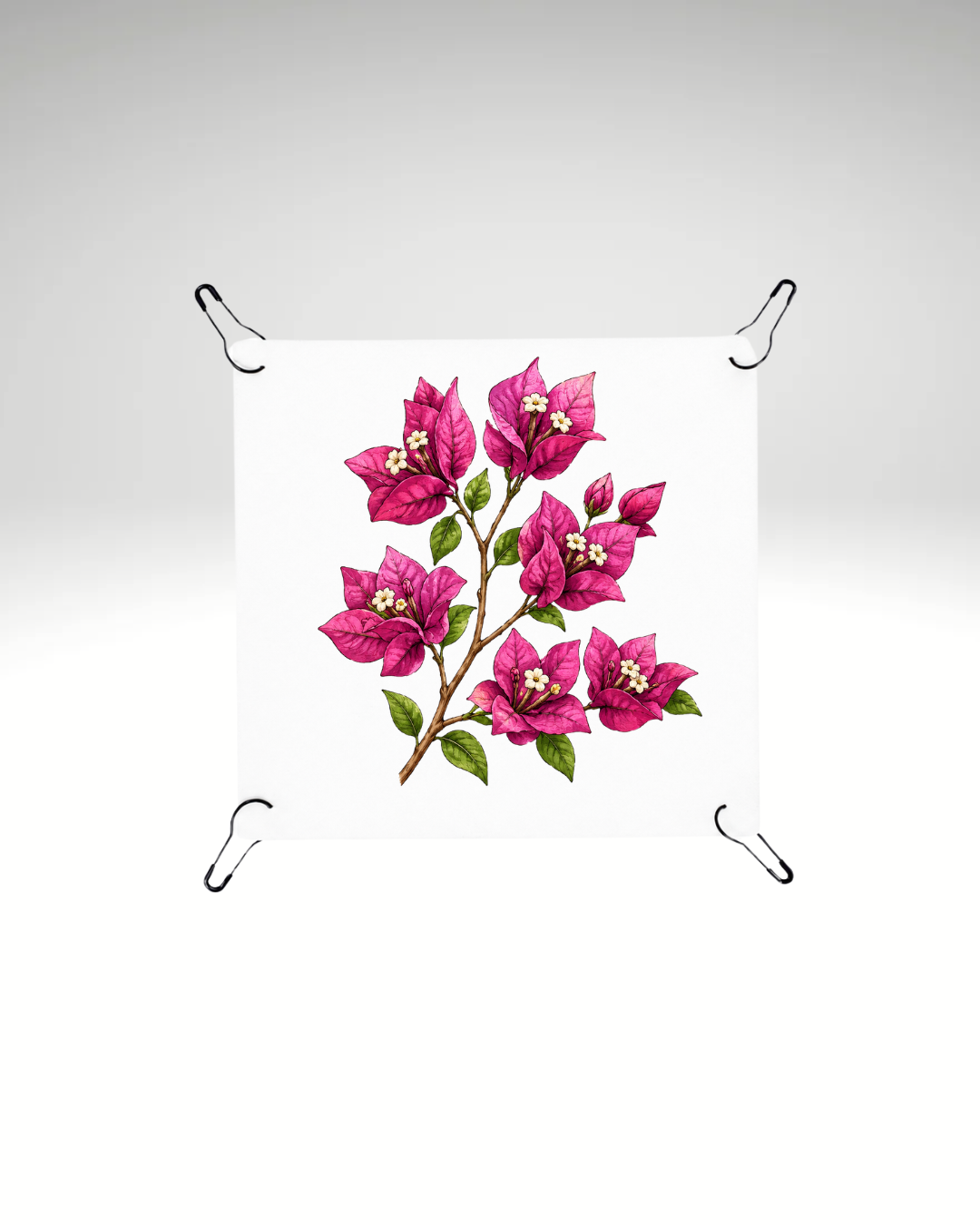 Print detașabil Mediterranean Bougainvillea