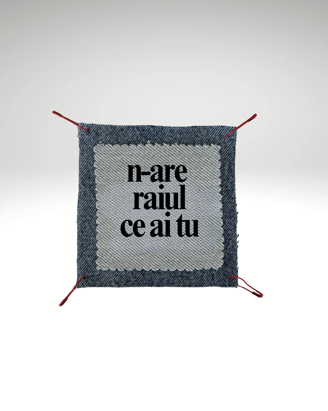 n-are raiul ce ai tu - denim - Urban Prints Studio