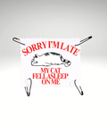 Sorry I’m late