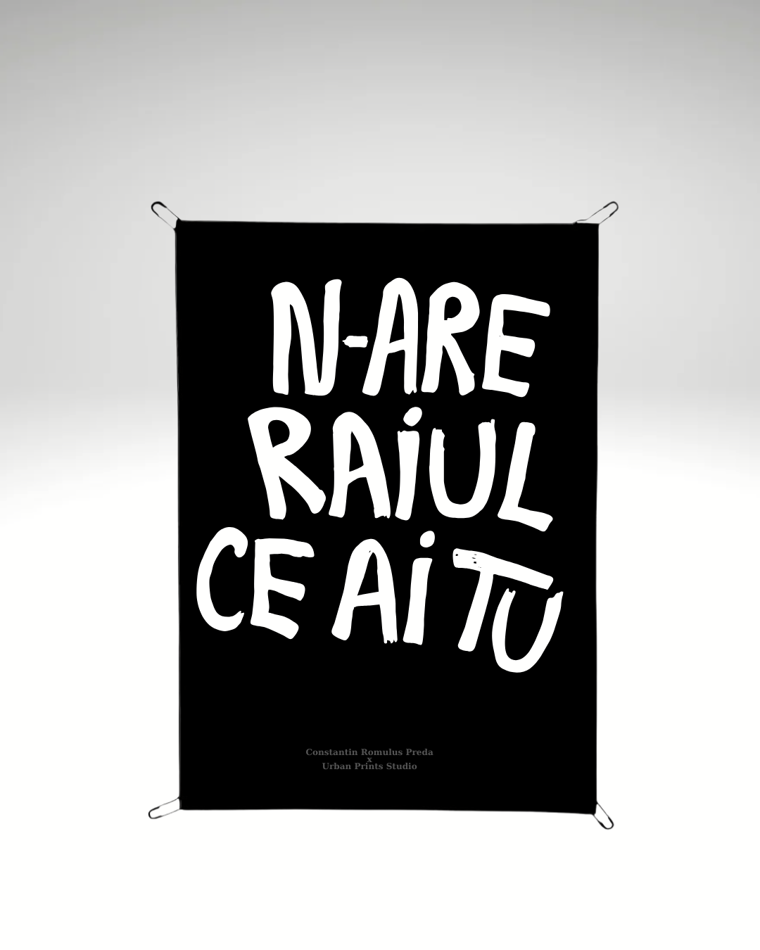 Print detașabil N-are raiul ce ai tu