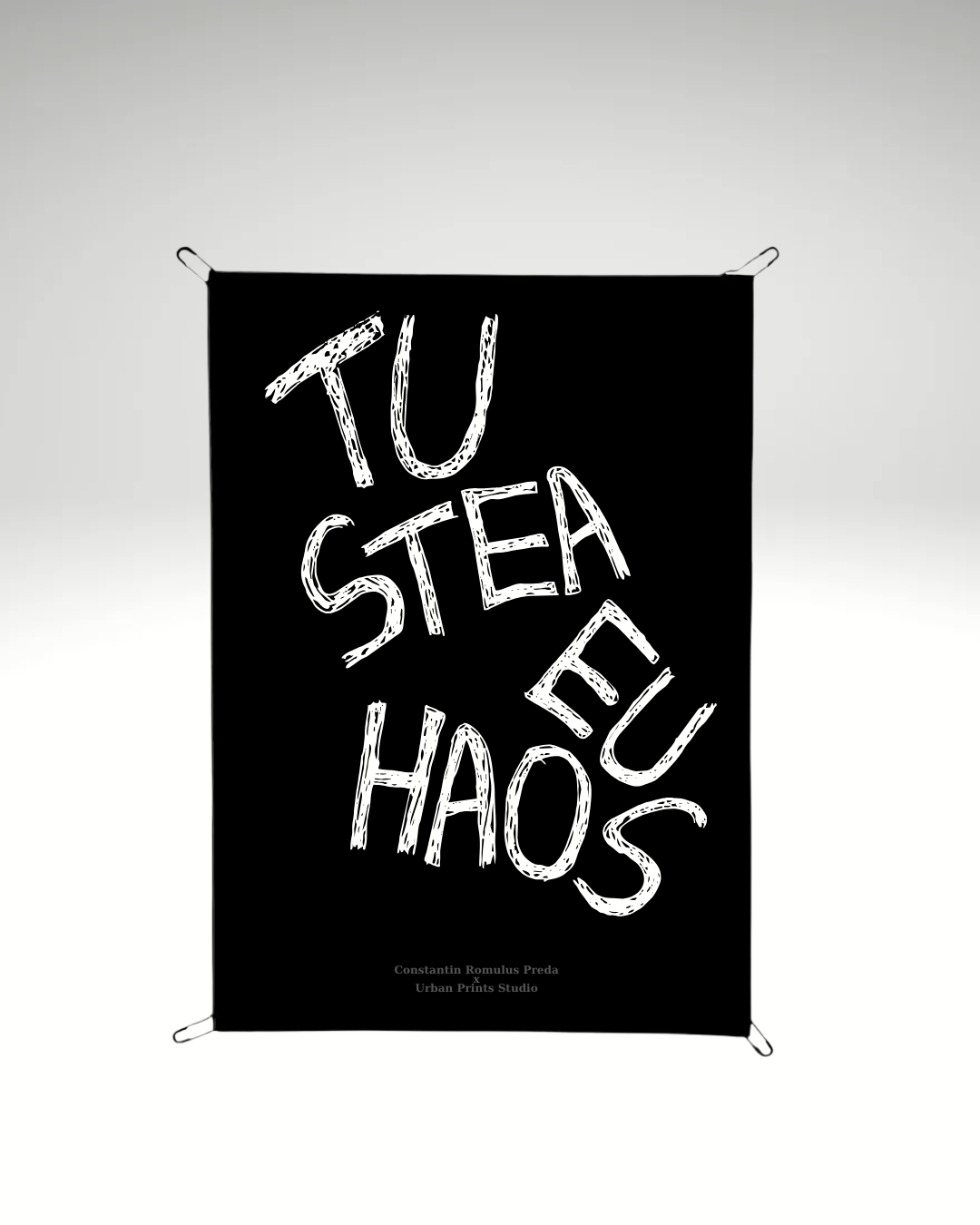 Print detașabil Tu stea eu haos